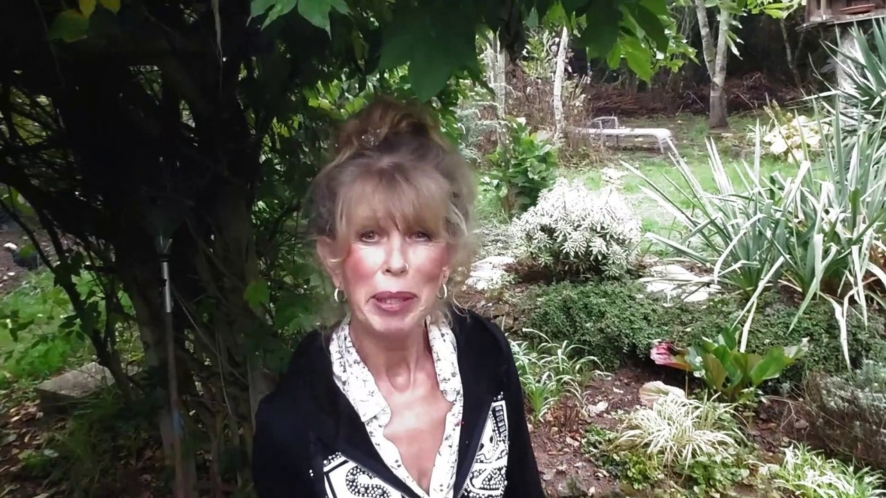 B8 - Staubbad für Hühner