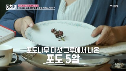 남편이 올해 수확한 포도에 충격받은 유인경, “빈 껍질만 남았어 ㅠㅠ”