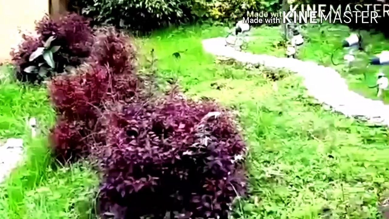 Amazing park at W.B.India part-1