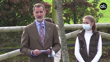 El Rey vuelve a llamar a la unidad: «La ayuda fraternal y la solidaridad nos hacen más fuertes»