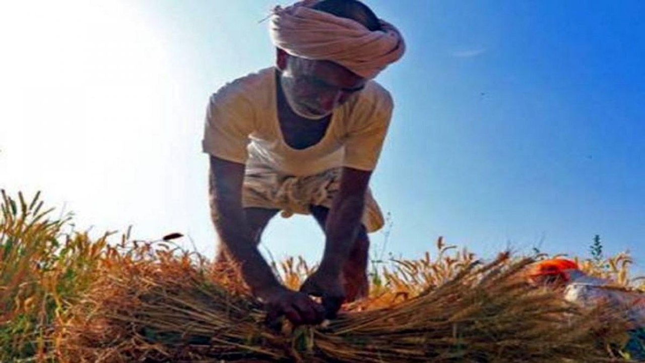 Bihar elections 2020: What is the mood of farmers?