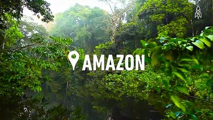 Word Play- Cyberspace