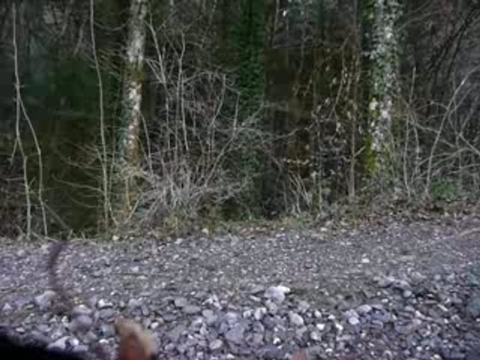 Freeride/Downhill