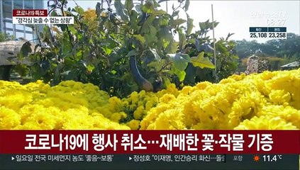 힐링·온라인…'코로나19 직격탄' 지역축제 활로찾기 분주