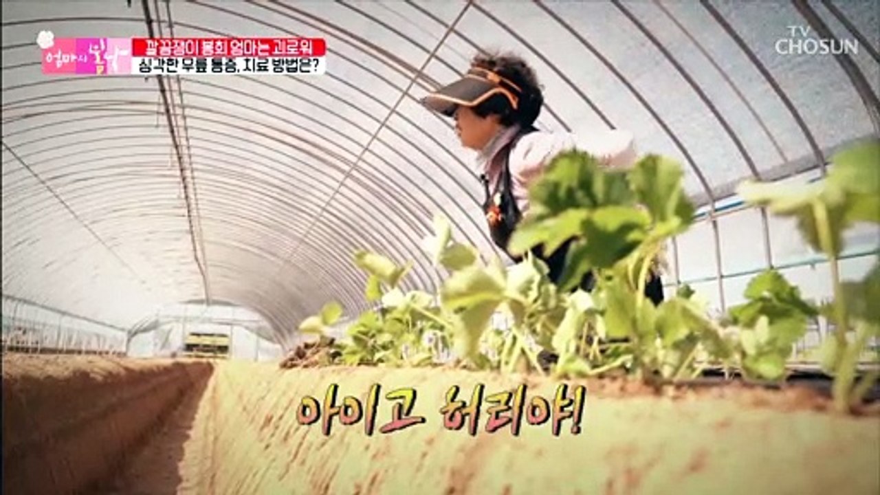 무릎 관절 내시경 수술로 ʚ편해진 엄마ɞ #광고포함