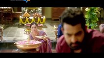 Jr Ntr whatsapp status  ntr fan's club
