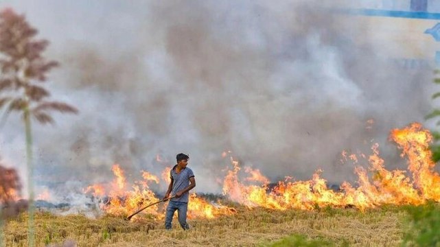 Punjab, Delhi, Centre continue blame game over stubble burning