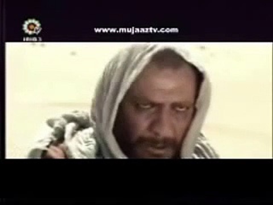 immlt4