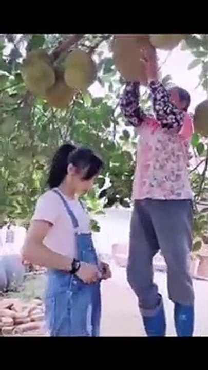 clip hilarious amusing amusing situations