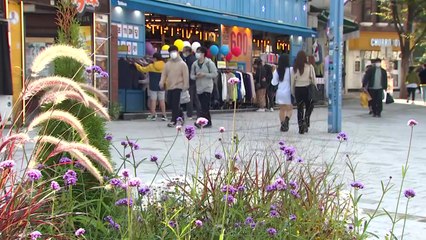 [날씨] 내일도 맑고 일교차 커, 쾌청한 날씨에 나들이객↑ / YTN