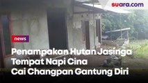 Penampakan Hutan Jasinga Tempat Napi Cina Cai Changpan Gantung Diri