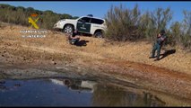 La Guardia Civil investiga a 7 personas vinculadas al Espacio Natural de Doñana