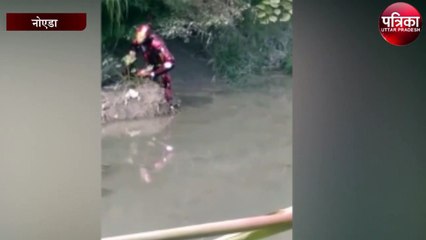 गुब्बारानुमा एलियन देख लोगो में मचा हड़कंप, विडियो हुआ वायरल