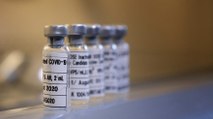 Selçuk Üniversitesi’nden corona virüs aşısı müjdesi