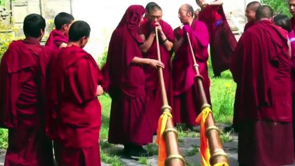 -Somos vibracion -Inteligencia Artificial dedicada al bienestar