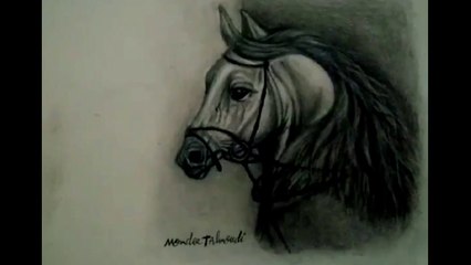 Horse Drawing Black and White