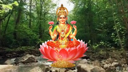 तुलसी का पौधा घर में है तो कुछ बातों का रखें ध्यान होगा बडा लाभ