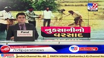 Excessive rain damaged crops in Mahisagar, farmers seek govt help_ TV9News