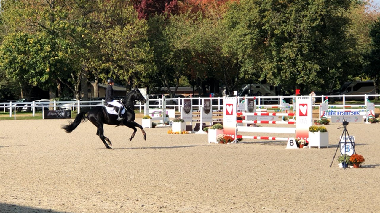 Mondial du Lion
