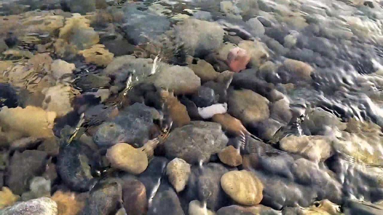 Grande marée d'octobre HD