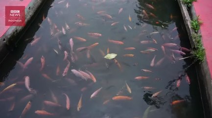 Bendhung Lepen, dari selokan penuh limbah jadi destinasi wisata di Yogyakarta