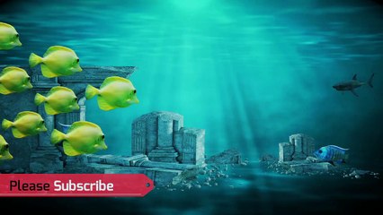 59 min  |  Baby Lullaby with Calming Animation | Auto Lowers Audio & Video | Música para dormir bebés