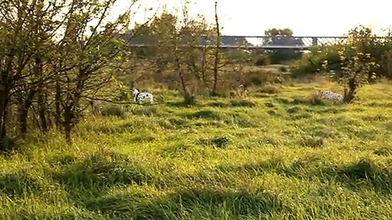 MVI_8324