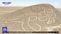 [이슈톡] 페루서 거대 고양이 모양 지상화 발견