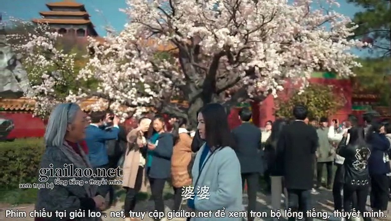 Tìm Anh Trong Mơ Tập 4 - VTV3 thuyết minh tap 5 - Phim Trung Quốc - xem phim tim anh trong mo tap 4