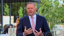 Albanese defends Andrew's lockdown decisions