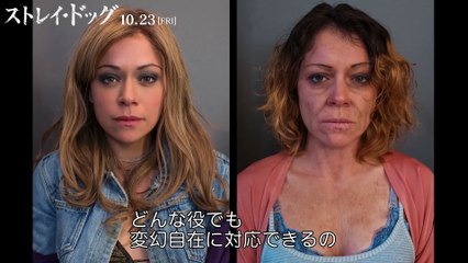 映画『ストレイ・ドッグ』壮絶アクション特別映像