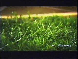 How Its Made - 535 Artificial Turf