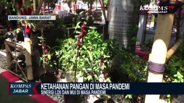 Sinergi Ketahanan Pangan di Masa Pandemi
