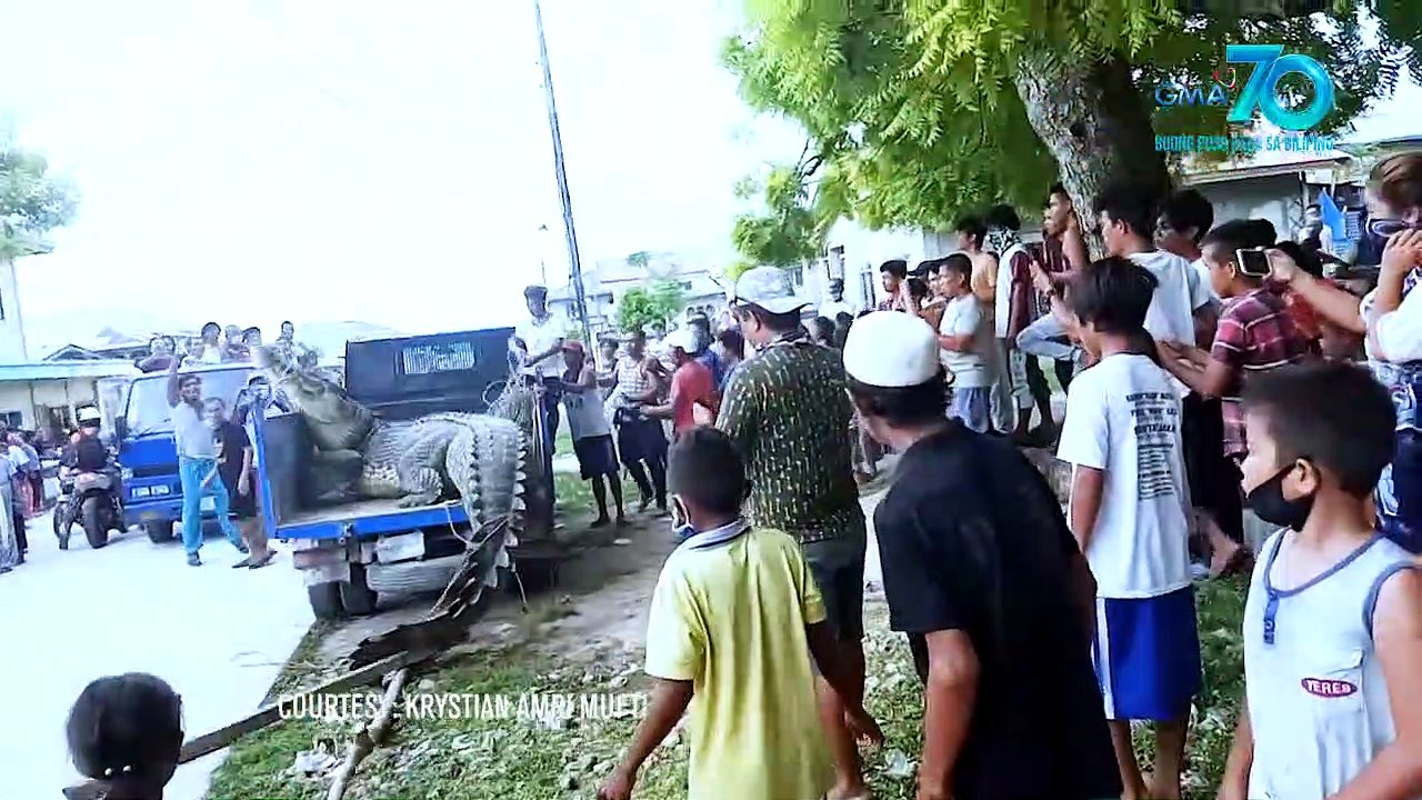 Kapuso Mo, Jessica Soho: Dambuhalang buwaya, nahuli sa Simunul, Tawi-tawi!