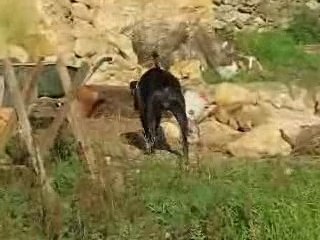 Alma verifie le chantier 2006