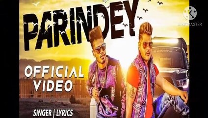 Summit gosawami song feeling se bhara mera Dil ll Tamakali song tha song with band bajaynge