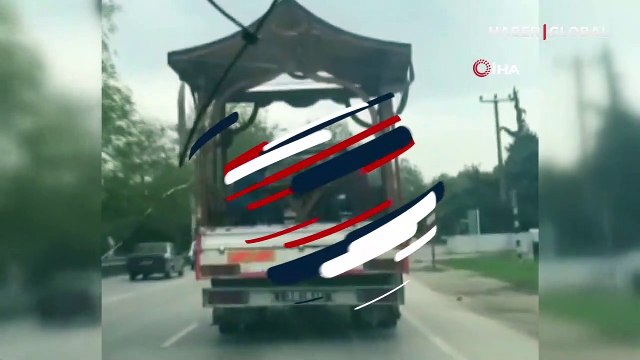 Hareket halindeki kamyonet kasasında tavla oynadılar