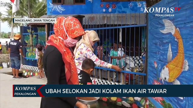 Ubah Selokan Jadi Kolam Ikan Air Tawar