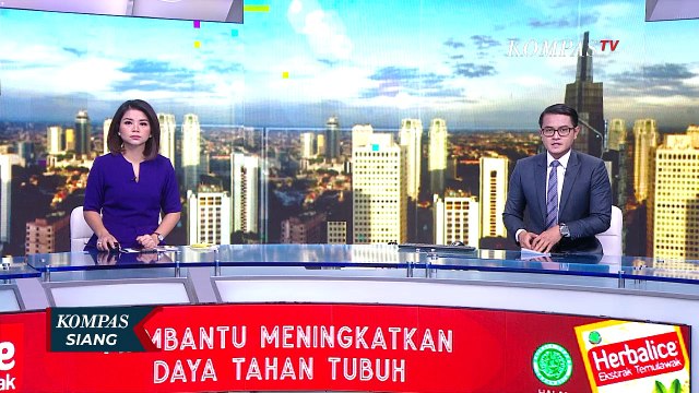 Ini Kronologi Kecelakaan Hanafi Rais, Sopir: Mobil Memang Sedang Melaju Kencang