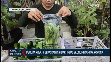 Pemuda Kreatif Lepaskan Diri Dari Imbas Ekonomi Dampak Korona