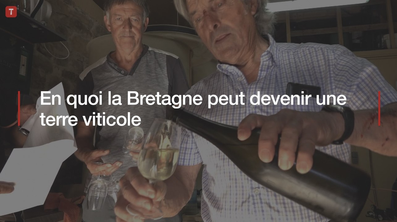 En quoi la Bretagne peut devenir une terre viticole