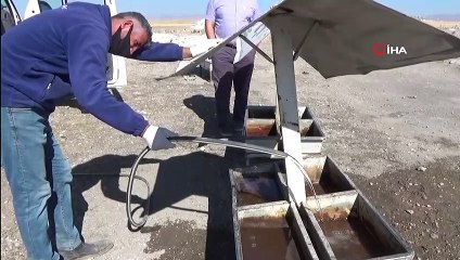 Erciş Belediyesi sokak hayvanlarını unutmuyor