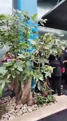 Côte d'Ivoire - Grève de personnel de la banque Ecobank sur des droits sociaux