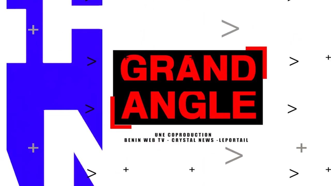 Bénin : parrainage et candidature éventuelle de Patrice Talon : l'avis de Fred HOUENOU