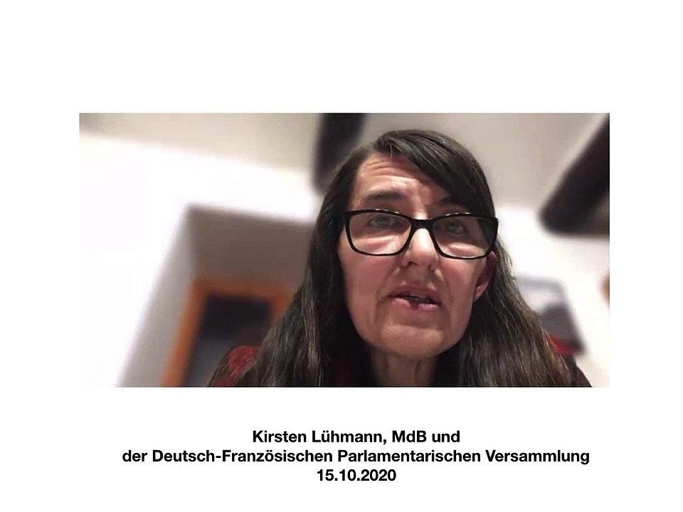 20201015 MdB K. Lühmann in Videokonferenz
