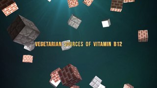 Vegetarian Sources of Vitamin B12