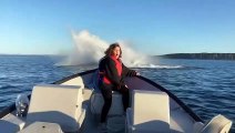 Des baleines à bosse ont sauté devant le bateau de cette famille