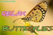 Relax Music for Butterflies