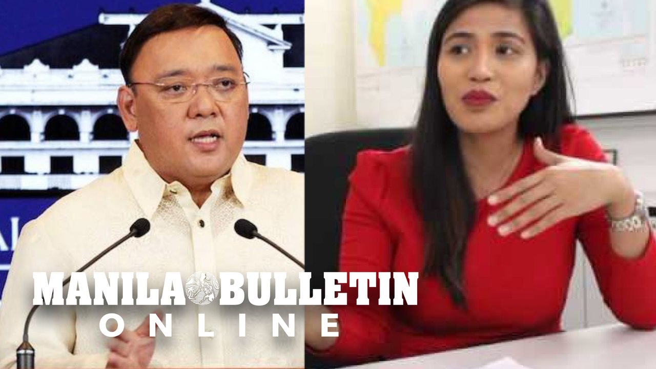 ‘Let MMDA spokesperson express her views,’ says Roque, as controversy surrounds burial of detained activist’s daughter