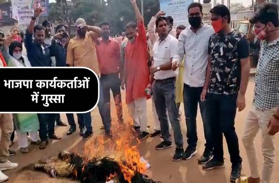 भाजपा कार्यकर्ताओं ने फूंका पूर्व सीएम कमलनाथ का पुतला